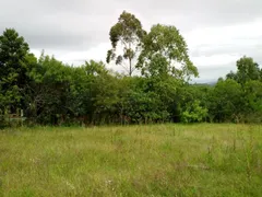 Terreno / Lote / Condomínio à venda, 50000m² no Santo Onofre, Viamão - Foto 6