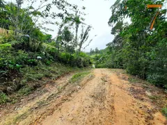 Fazenda / Sítio / Chácara com 3 Quartos à venda, 130m² no Centro, Águas Mornas - Foto 48