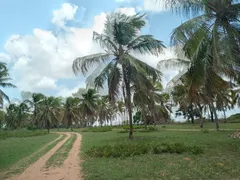 Fazenda / Sítio / Chácara com 3 Quartos à venda, 160000m² no Centro, Ceará Mirim - Foto 5
