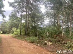 Terreno / Lote / Condomínio à venda, 1100m² no Jardim Salaco, Teresópolis - Foto 4