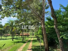 Fazenda / Sítio / Chácara com 4 Quartos à venda, 18516m² no Setor Garavelo Sul II, Hidrolândia - Foto 2