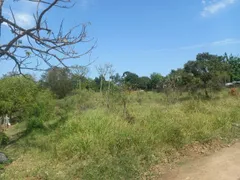 Terreno / Lote / Condomínio à venda, 1200m² no Centro, Pardinho - Foto 4