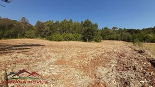 Terreno / Lote / Condomínio à venda, 50000m² no Linha Brasil, Nova Petrópolis - Foto 18