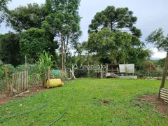 Fazenda / Sítio / Chácara à venda, 100m² no Rancho Alegre, Campina Grande do Sul - Foto 14