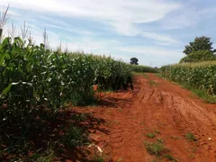 Fazenda / Sítio / Chácara à venda, 570000000m² no Zona Rural, Santana do Araguaia - Foto 8