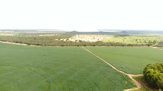 Fazenda / Sítio / Chácara à venda no Zona Rural, Itiquira - Foto 1