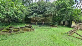 Fazenda / Sítio / Chácara com 1 Quarto à venda, 3000m² no Jardim Krahe, Viamão - Foto 7