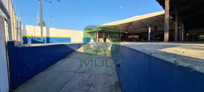 Terreno / Lote Comercial com 1 Quarto para alugar, 1000m² no Brasil, Uberlândia - Foto 3