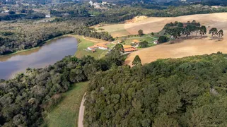 Fazenda / Sítio / Chácara com 4 Quartos à venda, 348800m² no Area Rural de Fazenda Rio Grande, Fazenda Rio Grande - Foto 10