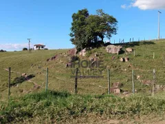 Fazenda / Sítio / Chácara com 2 Quartos à venda, 140m² no Lopes, Valinhos - Foto 97