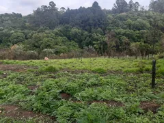 Fazenda / Sítio / Chácara com 2 Quartos à venda, 150m² no Brigadeiro Tobias, Sorocaba - Foto 3