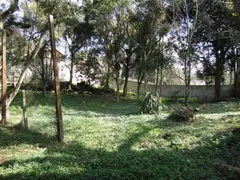 Terreno / Lote / Condomínio à venda, 1800m² no São João, Curitiba - Foto 4