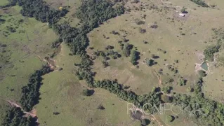 Fazenda / Sítio / Chácara com 8 Quartos à venda, 4300000m² no Centro, Pimenta Bueno - Foto 12