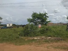 Fazenda / Sítio / Chácara à venda, 1000m² no Morada Nova, Uberlândia - Foto 1