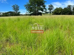 Fazenda / Sítio / Chácara à venda, 75m² no Zona Rural, Paraúna - Foto 15