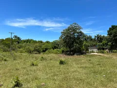 Fazenda / Sítio / Chácara com 3 Quartos à venda, 120249m² no Agrisa, Cabo Frio - Foto 10