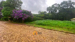 Terreno / Lote / Condomínio à venda, 1000m² no Condominio Fazenda Mirante, Igarapé - Foto 4