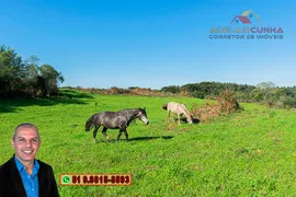 Fazenda / Sítio / Chácara à venda, 70000m² no Zona Rural, Três Coroas - Foto 24