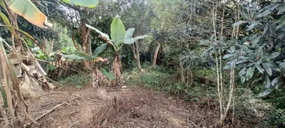 Terreno / Lote / Condomínio à venda, 300m² no Chacara Sao Braz, Mauá - Foto 5