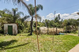 Fazenda / Sítio / Chácara com 2 Quartos à venda, 150m² no Bocaiuva Do Sul, Bocaiúva do Sul - Foto 14