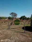 Fazenda / Sítio / Chácara com 2 Quartos à venda, 1887600m² no Zona Rural, Luziânia - Foto 1