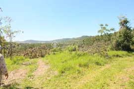 Terreno / Lote / Condomínio à venda, 170700m² no Campestre, São Leopoldo - Foto 3