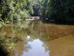 Fazenda / Sítio / Chácara com 1 Quarto à venda, 16814160m² no Gaviões, Silva Jardim - Foto 2