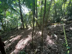 Terreno / Lote / Condomínio à venda, 4000m² no Lagoinha, Ubatuba - Foto 2