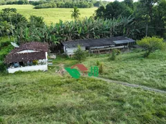 Fazenda / Sítio / Chácara com 3 Quartos à venda, 70000m² no Povoado, Pedras de Fogo - Foto 10