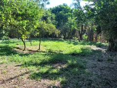 Fazenda / Sítio / Chácara com 3 Quartos à venda, 250m² no Aparecidinha, Sorocaba - Foto 19