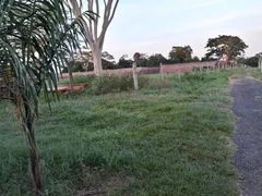 Fazenda / Sítio / Chácara com 4 Quartos à venda, 400m² no Patrimônio Novo, Votuporanga - Foto 15