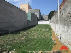 Terreno / Lote / Condomínio para venda ou aluguel, 358m² no Vila Tolstoi, São Paulo - Foto 3