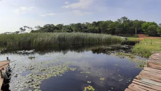 Fazenda / Sítio / Chácara com 4 Quartos à venda, 2000m² no , Bataguassu - Foto 7