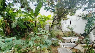Terreno / Lote / Condomínio à venda, 300m² no Vila Jardini, Sorocaba - Foto 5