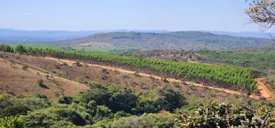 Fazenda / Sítio / Chácara à venda, 20000m² no Zona Rural, Baldim - Foto 13