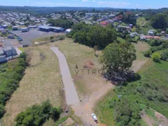 Terreno / Lote / Condomínio à venda, 14679m² no Centro, São Francisco de Paula - Foto 4