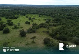 Fazenda / Sítio / Chácara à venda, 484m² no Zona Rural, Goianorte - Foto 2