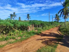 Fazenda / Sítio / Chácara com 3 Quartos à venda, 90000m² no Zona Rural, Glória do Goitá - Foto 9