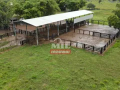 Fazenda / Sítio / Chácara com 3 Quartos à venda, 18488800m² no Zona Rural, Santana do Araguaia - Foto 13