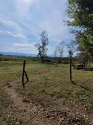 Fazenda / Sítio / Chácara à venda, 30000m² no Pinheirinho, Taubaté - Foto 32