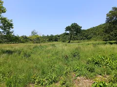 Fazenda / Sítio / Chácara à venda, 75000m² no Ilha de Guaratiba, Rio de Janeiro - Foto 12