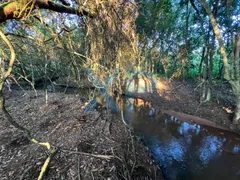 Fazenda / Sítio / Chácara com 2 Quartos à venda, 60m² no Zona Rural, São Sebastião do Oeste - Foto 18