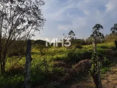 Terreno / Lote Comercial à venda, 54000m² no Chacara Recreio Cruzeiro do Sul, Santa Bárbara D'Oeste - Foto 6