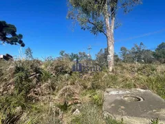 Terreno / Lote / Condomínio à venda, 1826m² no Centenário, Caxias do Sul - Foto 6