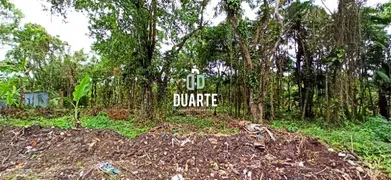 Fazenda / Sítio / Chácara com 3 Quartos à venda, 250m² no Jardim Aguapeu, Itanhaém - Foto 66