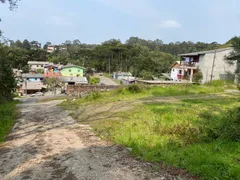 Terreno / Lote / Condomínio à venda, 3055m² no Moura, Gramado - Foto 5