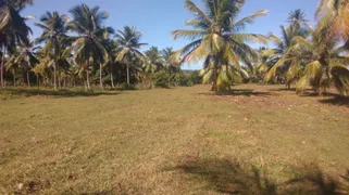 Fazenda / Sítio / Chácara à venda, 74000m² no Zona Rural, Conde - Foto 1