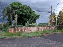 Terreno / Lote / Condomínio para venda ou aluguel, 432m² no Cidade Universitária, Campinas - Foto 1