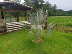 Fazenda / Sítio / Chácara com 4 Quartos à venda, 4000m² no Zona Rural, Igarapé - Foto 27