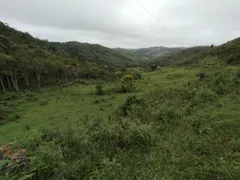 Fazenda / Sítio / Chácara com 2 Quartos à venda, 895400m² no Santa Terezinha, São Luiz do Paraitinga - Foto 53